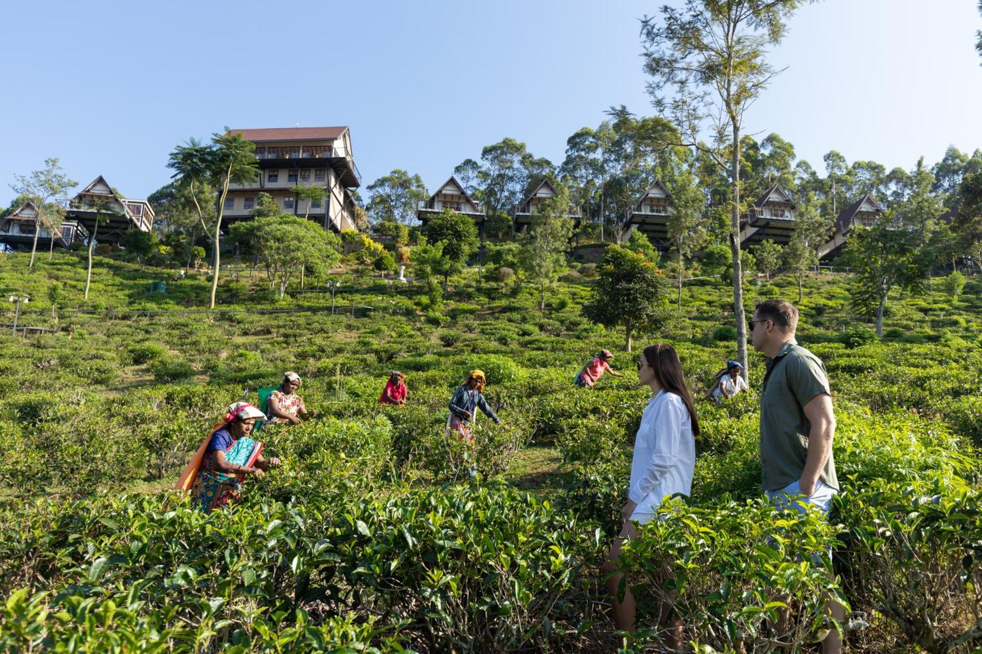 Anasa Wellness 5* Ella
